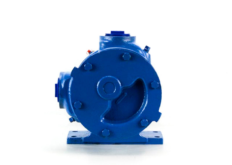 Viking® K124A Pump, 2" Threaded Ports (New)