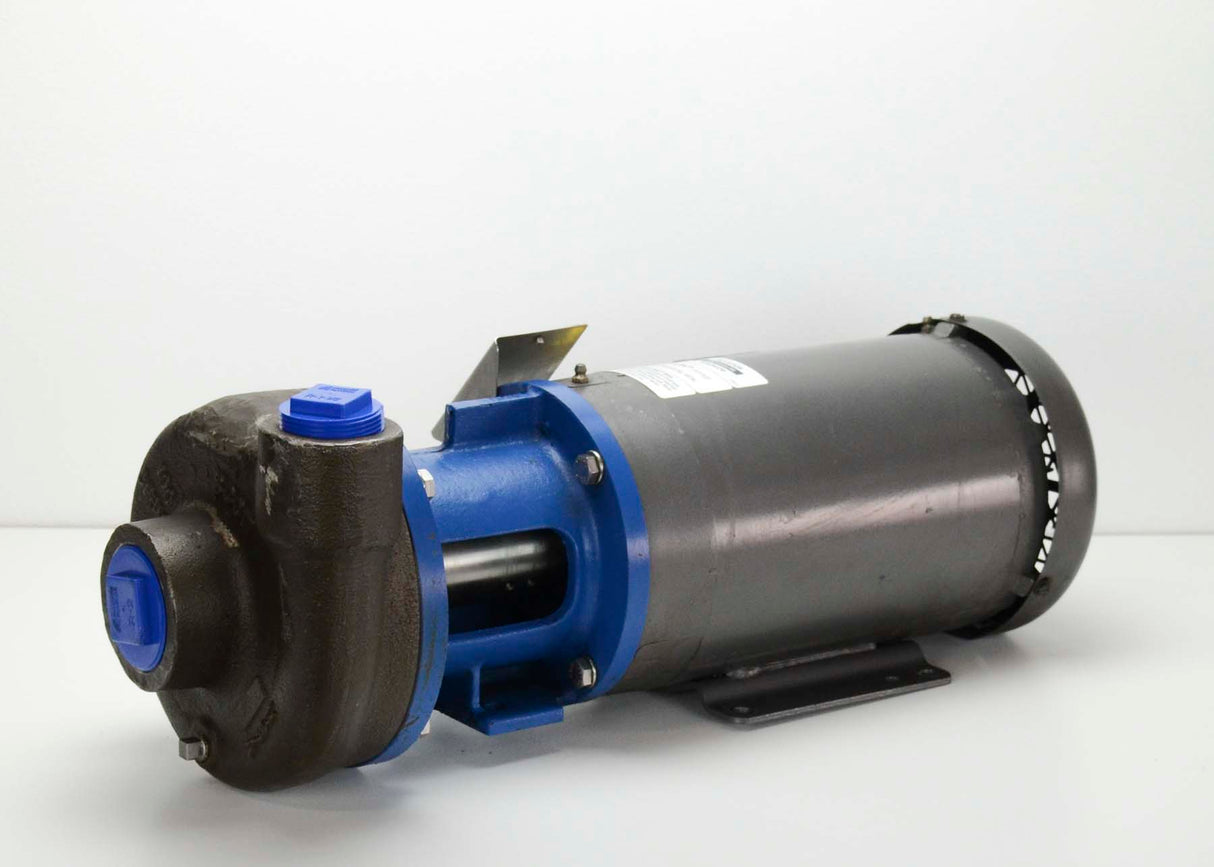 Scot Pump 19GNS Pump|Scot Pump 19GNS Pump|Scot Pump 19GNS Pump|Scot Pump 19GNS Pump|Scot Pump 19GNS Pump|Scot Pump 19GNS Pump|Scot Pump 19GNS Pump|Scot Pump 19GNS Pump