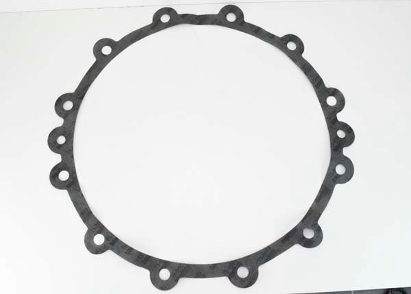 Head Gasket, High Temperature, for Viking® R-RR Pump (New)