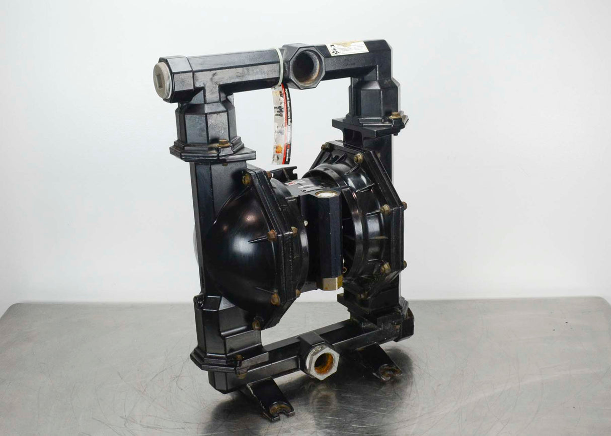 Ingersoll-Rand PD20A-AAP-AAA AOD Pump|Ingersoll-Rand PD20A-AAP-AAA AOD Pump|Ingersoll-Rand PD20A-AAP-AAA AOD Pump|Ingersoll-Rand PD20A-AAP-AAA AOD Pump|Ingersoll-Rand PD20A-AAP-AAA AOD Pump|Ingersoll-Rand PD20A-AAP-AAA AOD Pump|Ingersoll-Rand PD20A-AAP-AAA AOD Pump|Ingersoll-Rand PD20A-AAP-AAA AOD Pump