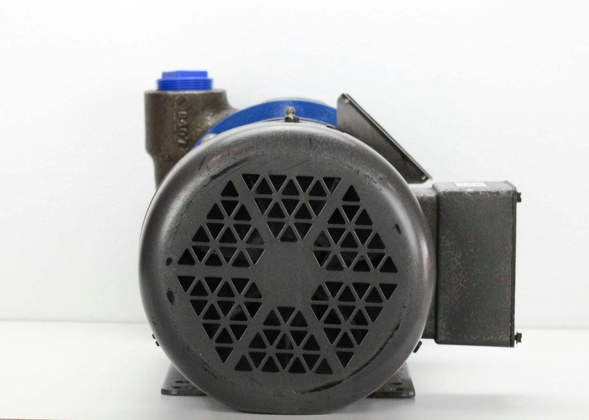 Scot Pump 19GNS Pump|Scot Pump 19GNS Pump|Scot Pump 19GNS Pump|Scot Pump 19GNS Pump|Scot Pump 19GNS Pump|Scot Pump 19GNS Pump|Scot Pump 19GNS Pump|Scot Pump 19GNS Pump