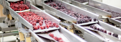 Food Processing Pumps