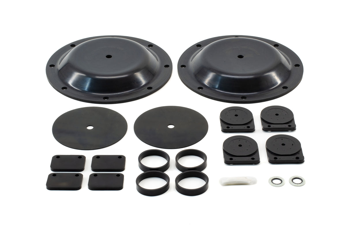 AndFlo Replacement Repair Kit, Buna, Will replace Sandpiper® 476.270.360 (New)