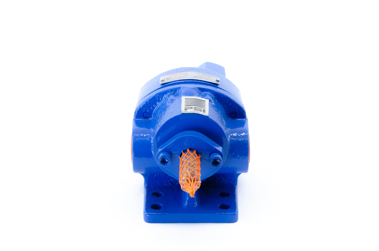 Flowserve 2GASP1D0 Pump, Threaded Ports, Relief Valve (New)