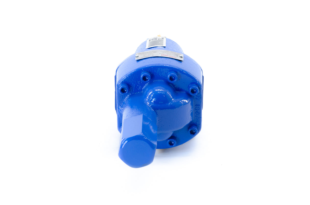 Flowserve 2GASP1D0 Pump, Threaded Ports, Relief Valve (New)