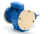 Viking® AS4197 Pump|Viking® AS4197 Pump|Viking® AS4197 Pump|Viking® AS4197 Pump|Viking® AS4197 Pump|Viking® AS4197 Pump|Viking® AS4197 Pump|Viking® AS4197 Pump|Viking® AS4197 Pump, Flanged Ports, Relief Valve, Stainless (New)