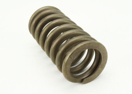 Relief Valve Spring, Gold/Green, for Viking® Q4125 Pump (New)