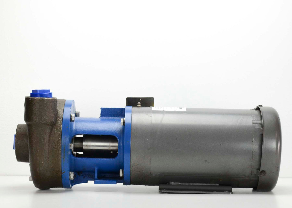 Scot Pump 19GNS Pump|Scot Pump 19GNS Pump|Scot Pump 19GNS Pump|Scot Pump 19GNS Pump|Scot Pump 19GNS Pump|Scot Pump 19GNS Pump|Scot Pump 19GNS Pump|Scot Pump 19GNS Pump